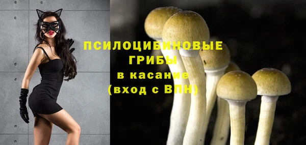 круглые Новозыбков