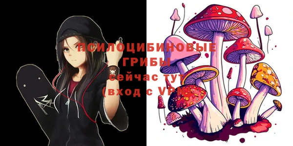 круглые Новодвинск